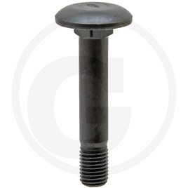 Rabe Mushroom head bolt