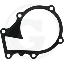Water pump gasket