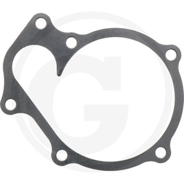Water pump gasket