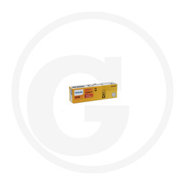 Philips Glass socket bulb W3W
