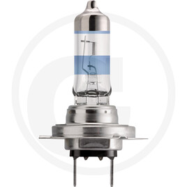 Philips Halogen bulb H7