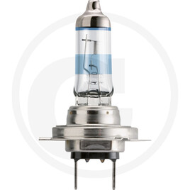 Philips Halogen bulb H7