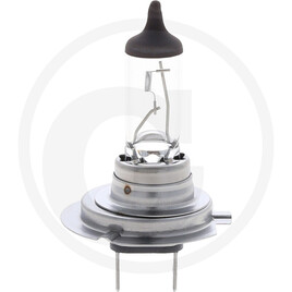 GRANIT Halogen bulb H7