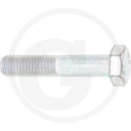 Maschio bolt