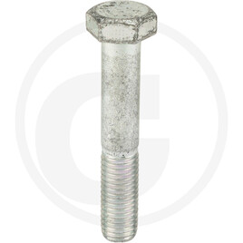 Maschio bolt