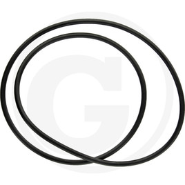 ZF O-ring for central flange