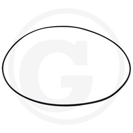 ZF O-ring