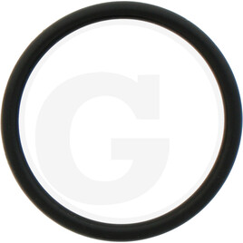 ZF O-ring