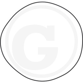 ZF O-ring