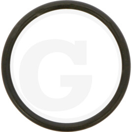 ZF O-ring