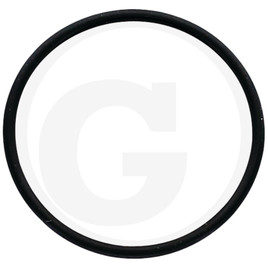 ZF O-ring for drain plug