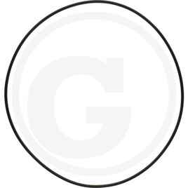 ZF O-ring