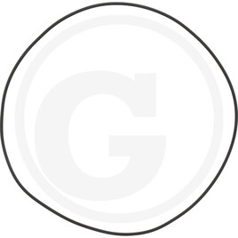 ZF O-ring