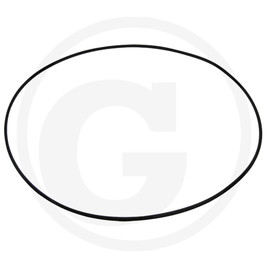 ZF O-ring