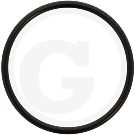 ZF O-ring