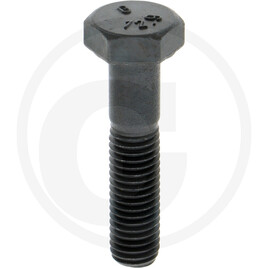 ZF Locking screw