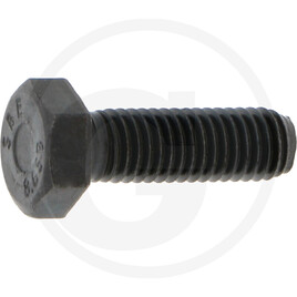 ZF Cap screw