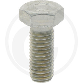 ZF Hexagon screw