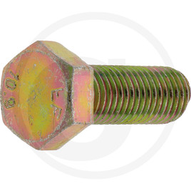 ZF Hexagon screw