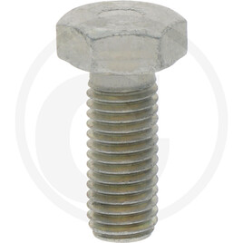 ZF Hexagon screw