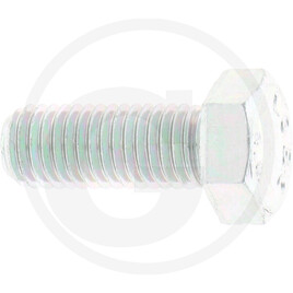 ZF Hexagon screw
