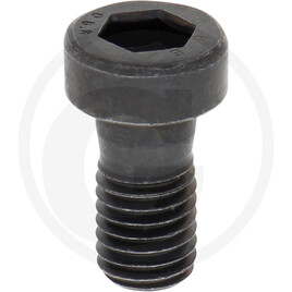 ZF Cap screw