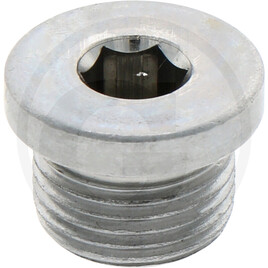 ZF O-ring, screw plug