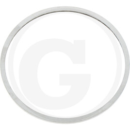 ZF Thrust washer