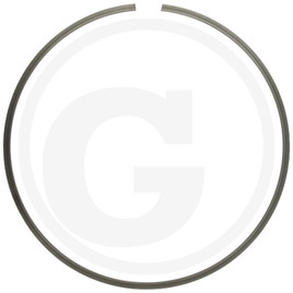 ZF Snap ring