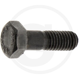ZF Hexagon screw
