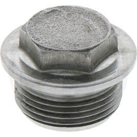 ZF O-ring, screw plug