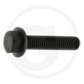 ZF Locking screw