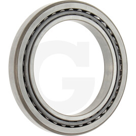 ZF Bearing
