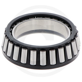 ZF Planetary bearing