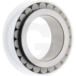 ZF Planetary bearing