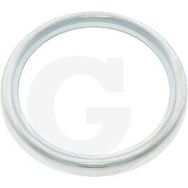 ZF Sealing cap
