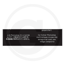 ZF Bearing pin