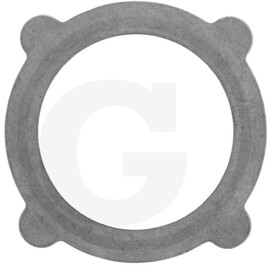 ZF Outer plate