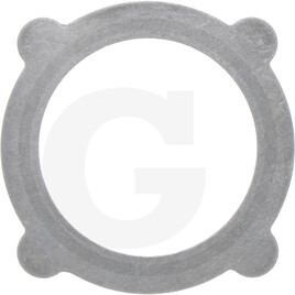 ZF Outer plate