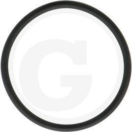 Loncin Seal