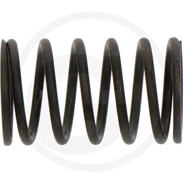 Loncin Valve spring