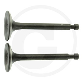 Loncin Valve set