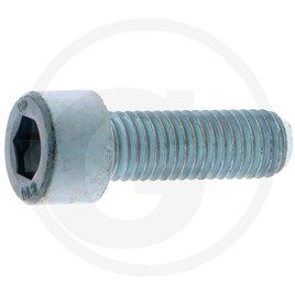 agria Hexagon socket bolt DIN 912 M10 x 30 steel 10.9