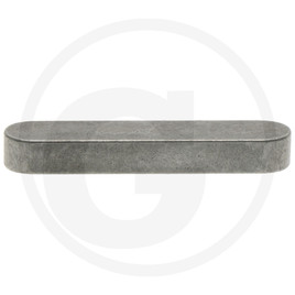 agria Parallel key