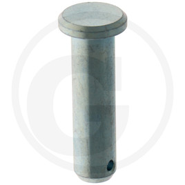 Agria Pin with head