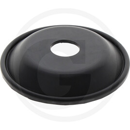 Diaphragm