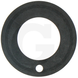 Rauch Thrust washer
