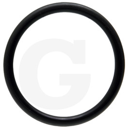 Fritzmeier O-ring