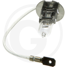 GRANIT Bulb
