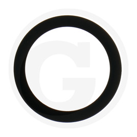 Briggs & Stratton O-ring